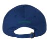 The Technicolors Store Merch Serotonin Hat