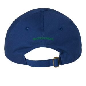 The Technicolors Store Merch Serotonin Hat