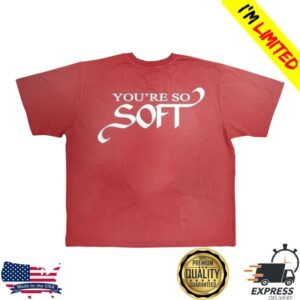 Lany Store Merch You're So Soft T-Shirt