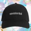 Robyn Store Merch Sexistential Hat