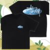 Stussy Store Merch Wave Oval Tee