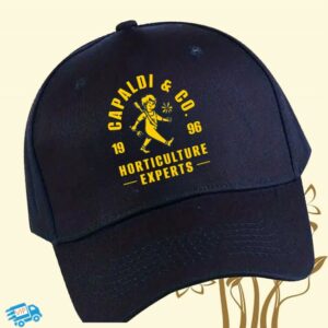 Lewis Capaldi Store Merch Capaldi & Co. Navy Cap